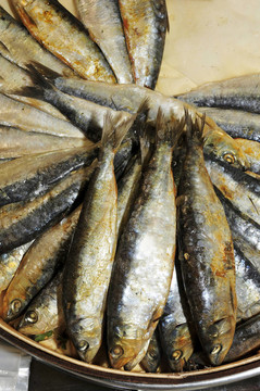 青魚
