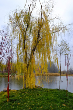 公園秋色