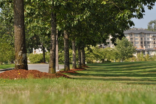 自然公園