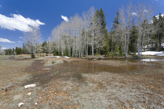 站在Aspen