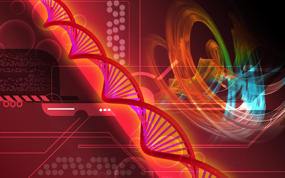 DNA