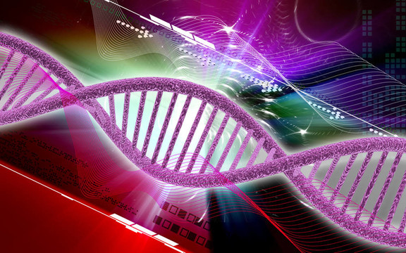 DNA