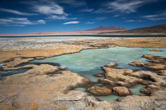 鹽湖Salar de Tara；智利