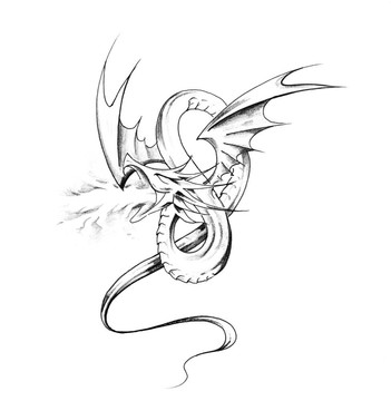 紋身藝術(shù)素描；龍