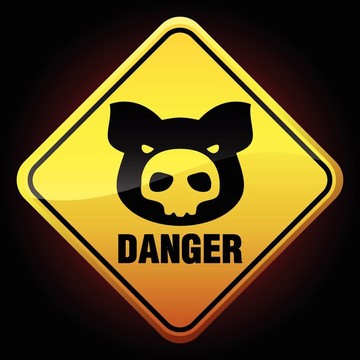 警告甲型H1N1流感的跡象