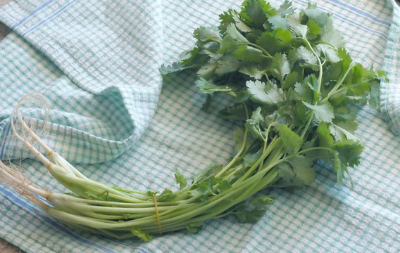 一堆香菜