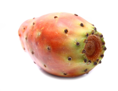 果實(shí)的仙人掌