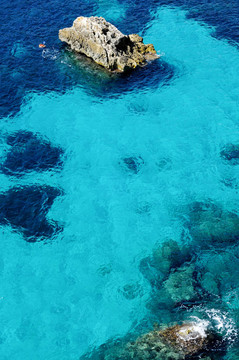 在熱帶海灘潛水