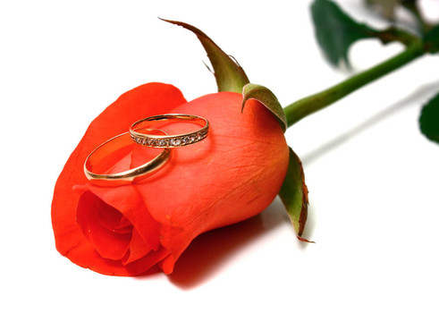 玫瑰和結(jié)婚戒指