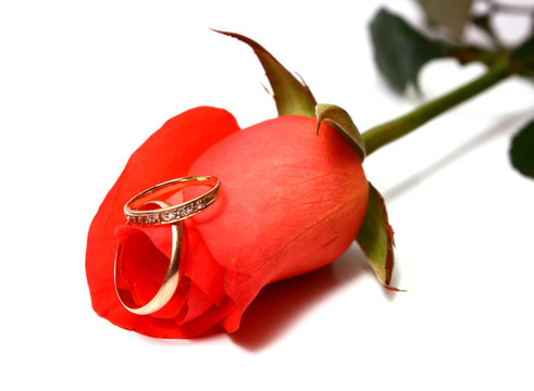 玫瑰和結(jié)婚戒指