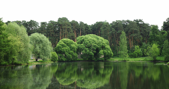 夏天的歐洲景觀