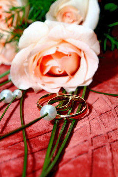 結(jié)婚戒指和玫瑰