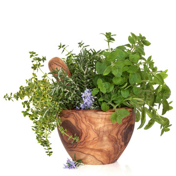 草本植物，葉的選擇