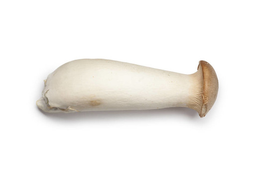 全鮮王牡蠣