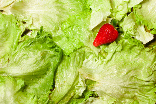 Strawberry沙拉