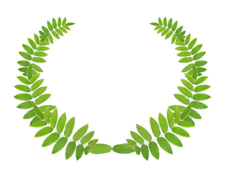 綠色的花環(huán)