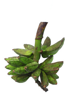 沙巴香蕉