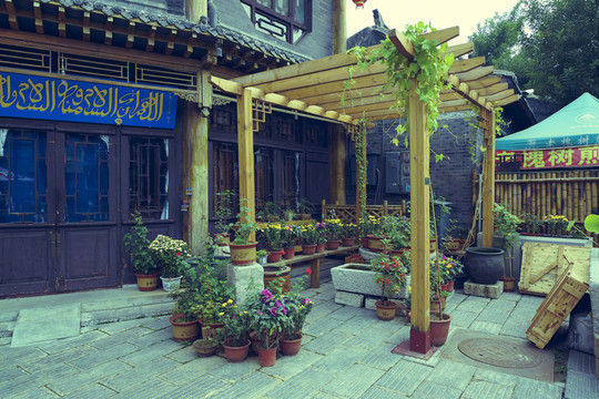 古街植物架