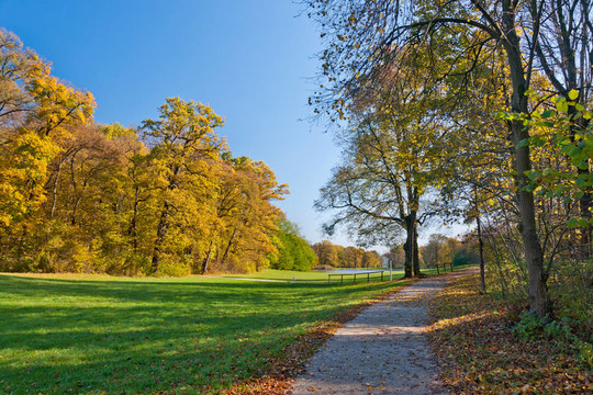 在公園里散步
