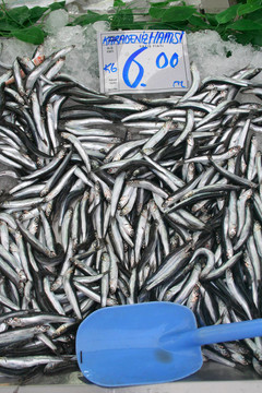 魚市場