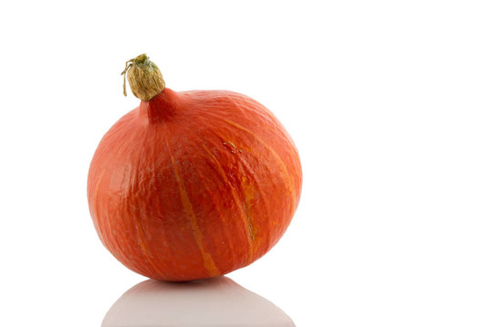 孤立的南瓜（lat. Cucurbita）