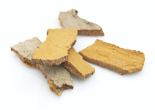 梧桐樹(shù)的樹(shù)皮