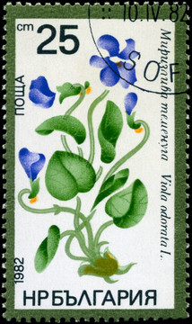 保加利亞-大約1982 Viola