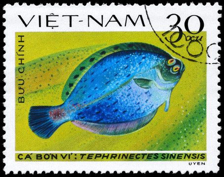 越南大約1982的比目魚