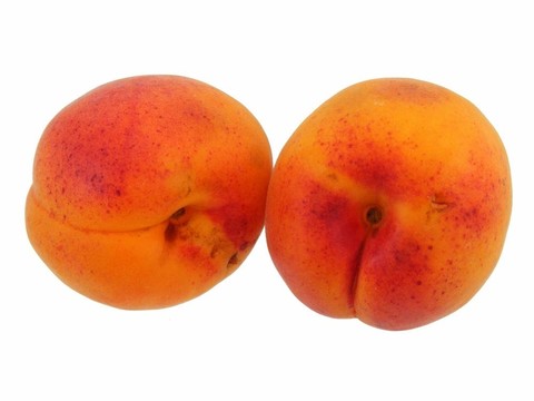 杏子全