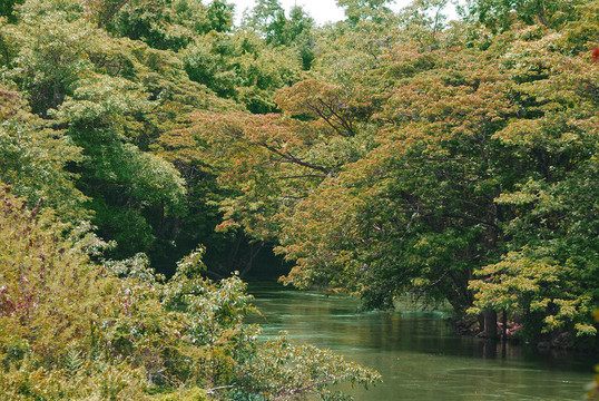 河流綠地