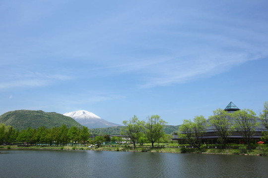 高原的夏天