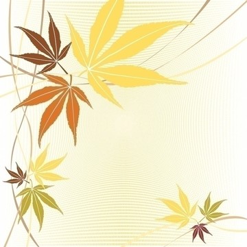 秋天或秋天楓葉。