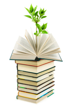 書籍和植物