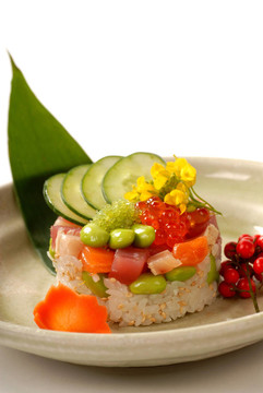 美味的日本菜米飯和蔬菜金槍魚模具