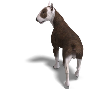 斗牛犬。3D渲染與剪輯路徑和陰影超過白色