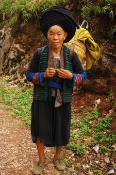 女性道銀種族