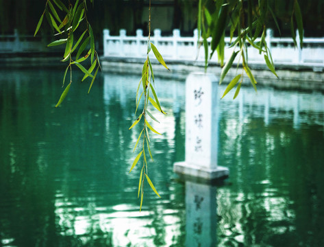 濟南名泉 珍珠泉