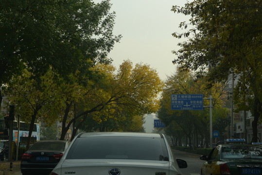 在路上