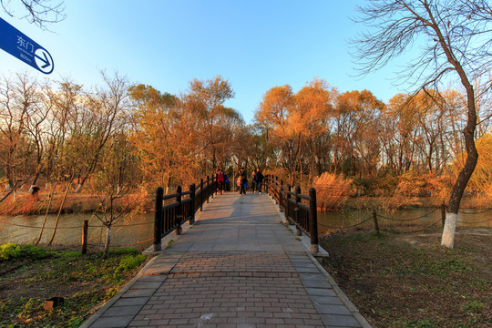 北京奧森公園人工湖小橋流水
