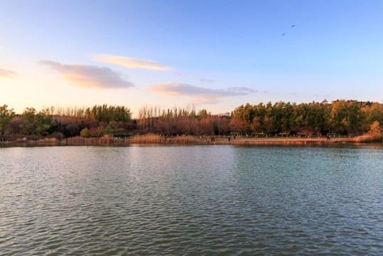 北京奧森公園人造濕地人工湖