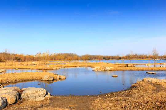 北京奧森公園人造濕地人工湖