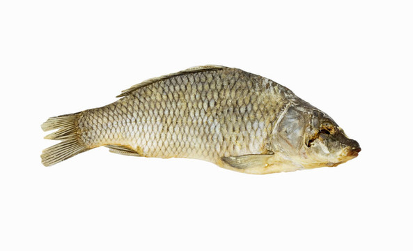 白色背景上分離的干魚(yú)