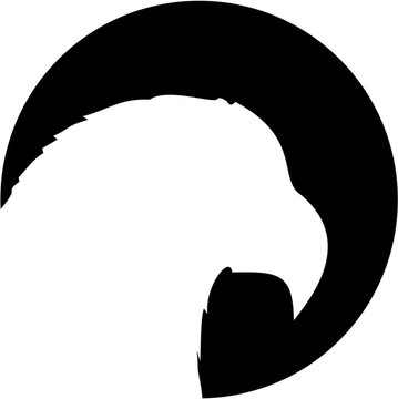 鷹的影子