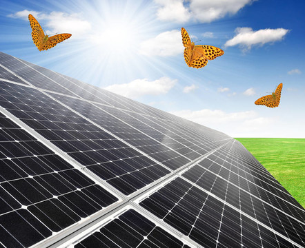 太陽能電池板