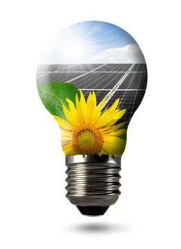 太陽能電池板的燈泡