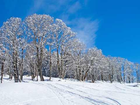 滑雪坡