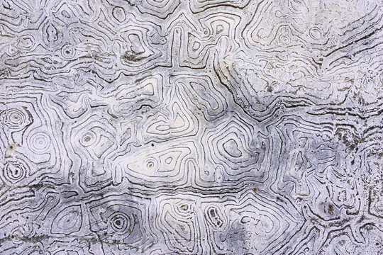 舊的白墻紋理