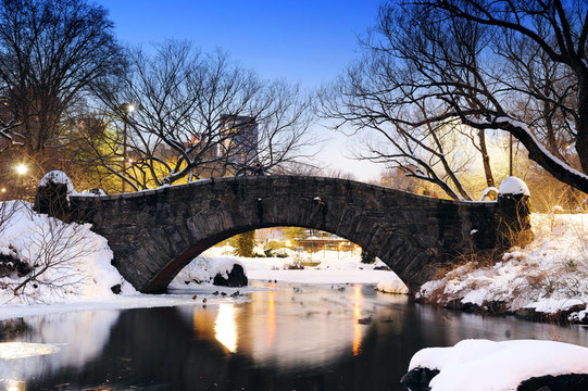 紐約市中央公園冬季大橋