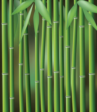 竹