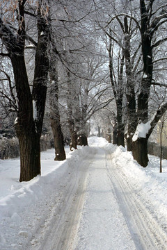 積雪的路上